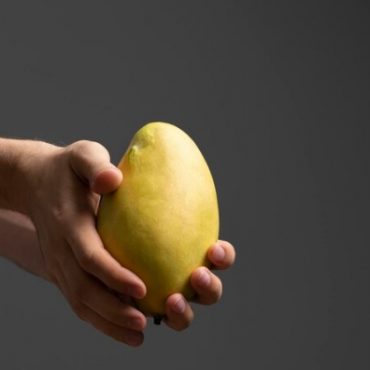 urutan petik mangga