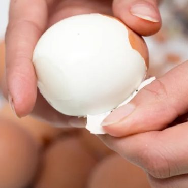 makan telur dalam pantang