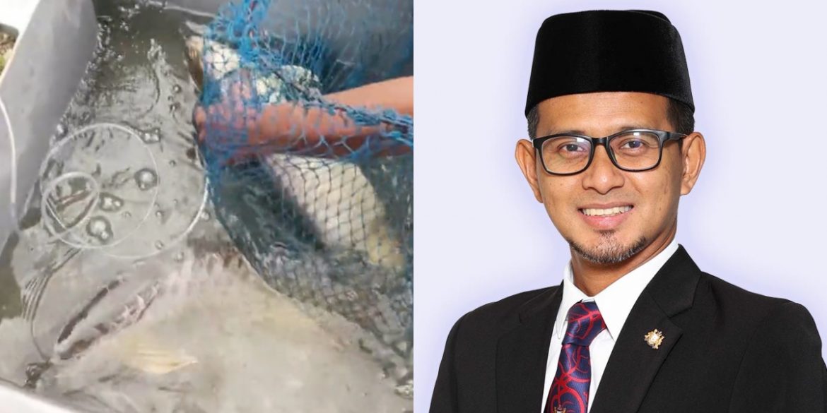 'Dah Tahu Pemilik, Pulangkan Ikan Arowana Kepadanya' – EXCO Agama Johor