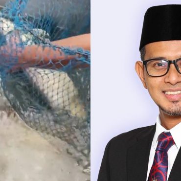 'Dah Tahu Pemilik, Pulangkan Ikan Arowana Kepadanya' – EXCO Agama Johor