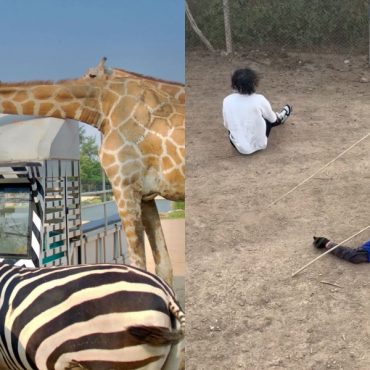 Kena Tendang & Lenyek, Pelancong Malaysia Jadi Mangsa Amukan Zirafah Di Safari Thailand