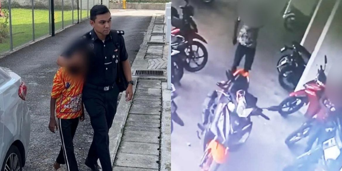 Bakar Anak Kucing Hidup-Hidup, Remaja 13 Tahun Mengaku Bersalah