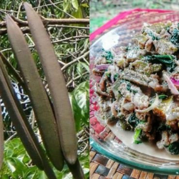 kerabu buah beka