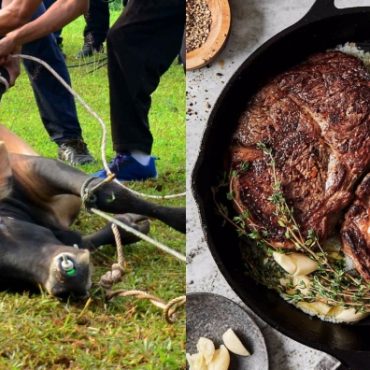 daging korban