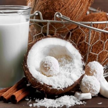 santan kelapa