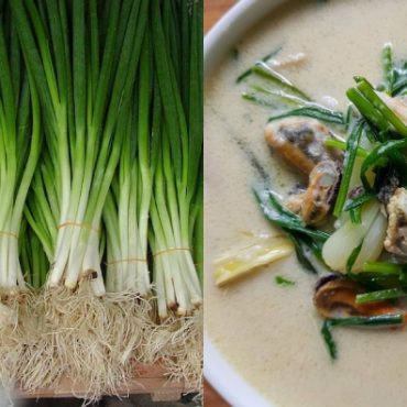 daun bawang dan kucai