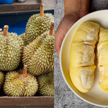 BUAH DURIAN