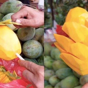 buah mangga