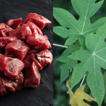 PETUA LEMBUTKAN DAGING