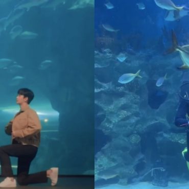harga masuk aquaria klcc
