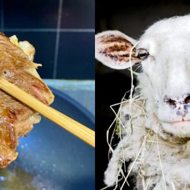 cara lembutkan daging kambing