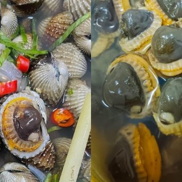 rebus kerang