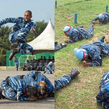 PLKN 3.0