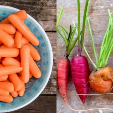 baby carrot