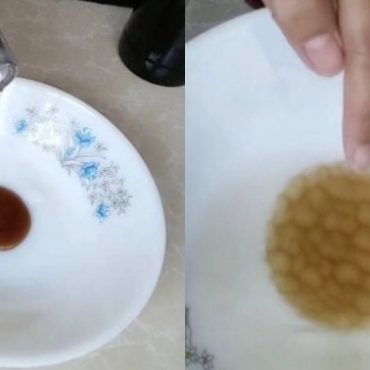 madu asli