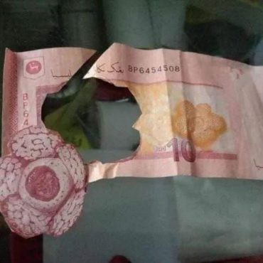 Cikgu Pesan Bawa Gambar Bunga Rafflesia, Anak Murid Gunting Ambil Daripada Duit RM10