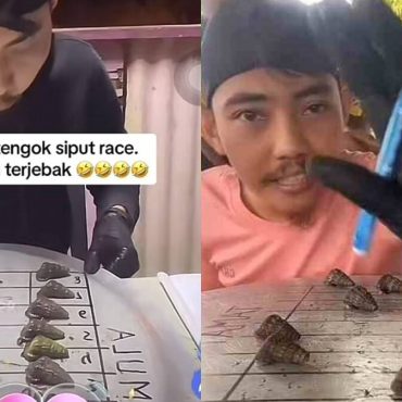 Siput Sedut
