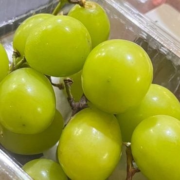 Anggur shine muscat