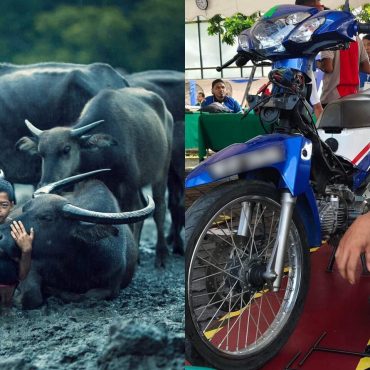 'Cepatnya Dia Besar?' – Ramai Terkejut Lihat Gambar Terkini 'Mowgli Malaysia'