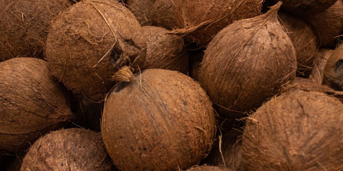 'Harga Santan Naik Sebab Kos Import Kelapa Dari Indonesia Meningkat' – Mat Sabu