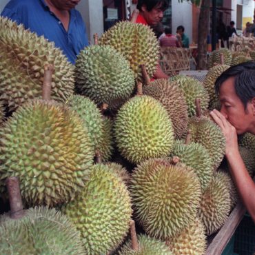 Durian