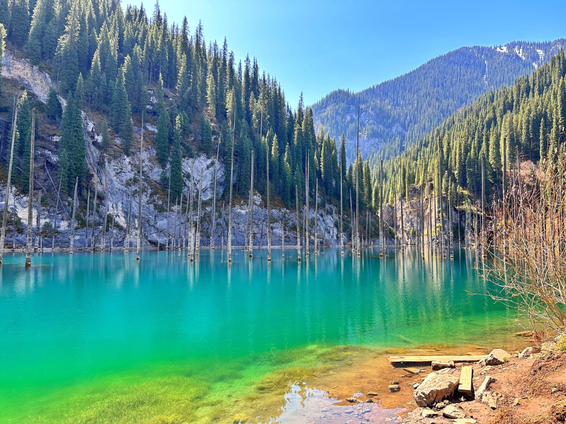 Background