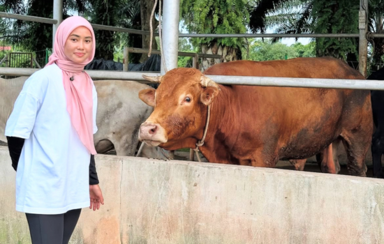 Kieda Crepe Buat Ibadah Korban, Kos Cecah RM43,000