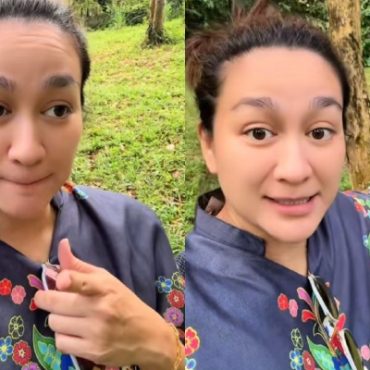 [VIDEO] Lembu Korban Dynas Mokhtar Lari Masuk Hutan 