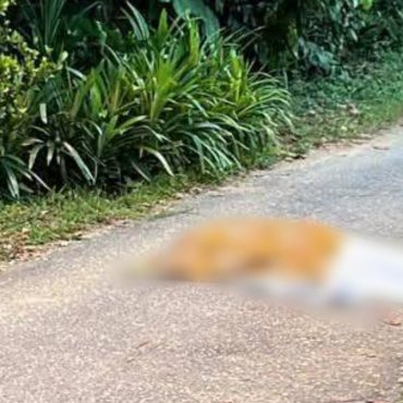 Dipercayai Tegur Remaja Main Motosikal, Warga Emas Maut Dipukul Cota Besi
