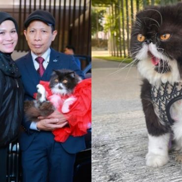 [VIDEO] Haliza Maysuri Hadiahkan Kucing Kereta Bernilai RM714,000 & Rantai Emas Sempena Ulang Tahun Kelahiran