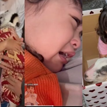 [VIDEO] Anak MUA Bellaz Menangis Nak Bawa Anak Kambing Naik Katil, Netizen Terhibur – ‘Wara Pergi Tidur Dekat Kandang Lah’