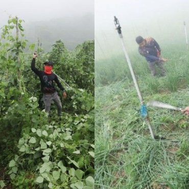 SPRM Pahang Cadang Denda Pemilik Ceroboh Tanah Cameron Highlands Dinaikkan RM100,000