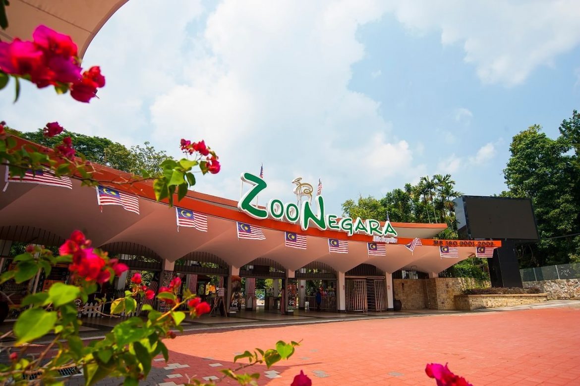 Jual Tanah, Zoo Negara Beri Penjelasan