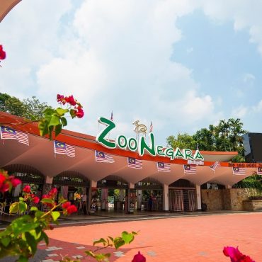 Jual Tanah, Zoo Negara Beri Penjelasan