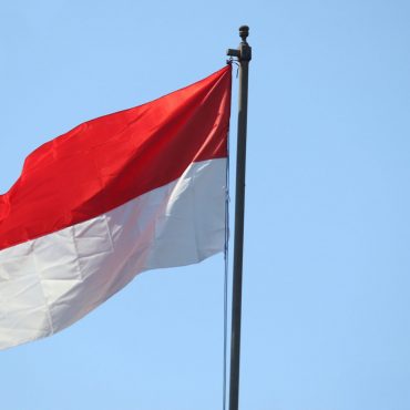 Doktor Dakwa IQ Rakyat Indonesia Merosot Teruk, Jika Jatuh Lagi Akan Setara Gorila