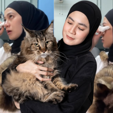 Wanita Kongsi Taktik Scam Terbaru Guna Cara COD – “Tengok Airway Bill & Alamat Yang Tak Lengkap”