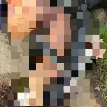 Mayat Wanita Dikerat Ditemui Dalam Plastik Hitam Di Tempat Pembuangan Sampah