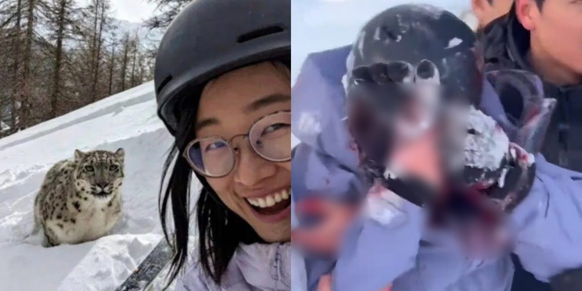 Selfie Dengan Harimau Bintang Salji, Pelancong Wanita 'Hilang Muka'