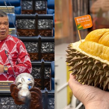 Mat Sabu: Negara Lain Tak Boleh 'Claim', Musang King Dilindungi GI Malaysia