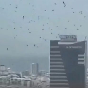 Tel Aviv