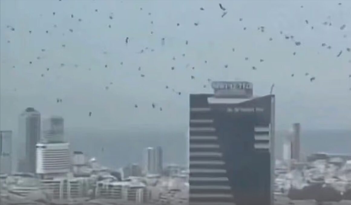 Tel Aviv