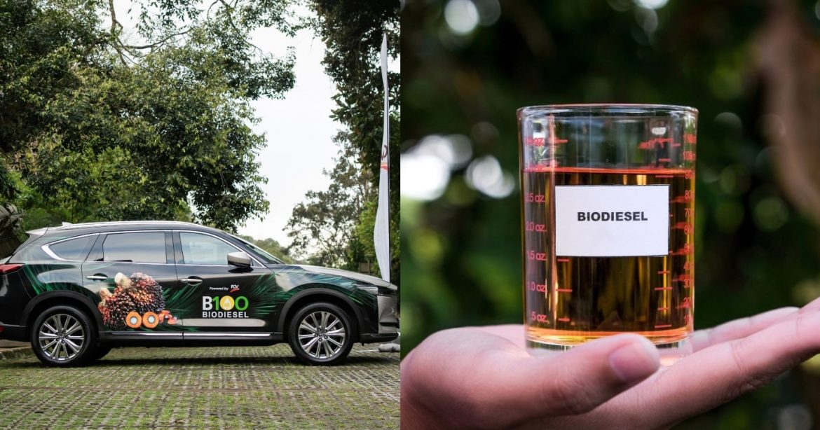 Dari Minyak Sawit Ke Tangki Kenderaan, Apa Yang Ramai Tak Tahu Tentang Biodiesel? 