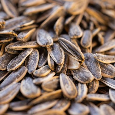 Individu Pelik Beli Benih Bunga Matahari Tapi Dapat Kuaci, Respon 'Savage' Penjual Ini Bikin Netizen Pecah Perut