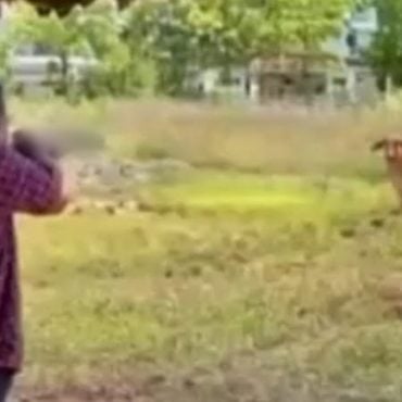 Insiden Tembak Lembu Korban: Polis Rampas 'Shotgun' Milik MB Perlis