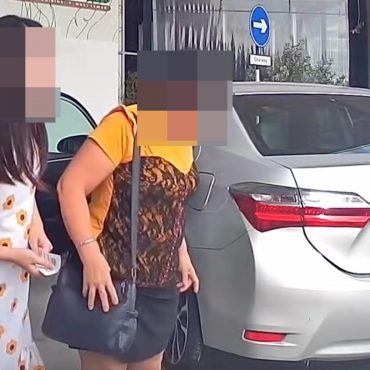 Anggap Kerosakan 'Tiada Apa-Apa', Pemandu Plat SG Terus Beredar Lepas Langgar Kereta Wanita Malaysia