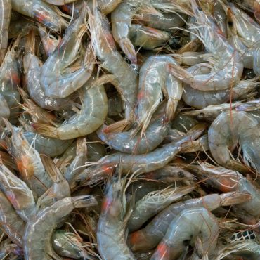 'Kami Tak Mampu Tunggu' - Industri Udang Thailand Gesa Rundingan Segera Bersama Malaysia