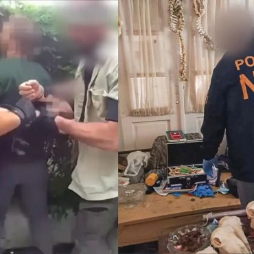 Lelaki Mengaku Simpan & Mak*n Anggota Badan Manusia, Curi Mayat Dari Hospital & Kubur