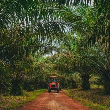 FGV Uji Biodiesel B100 Berasaskan Sawit Tempatan Dalam Operasi Ladang Sebenar