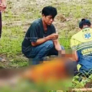 Sami Buddha Maut Ketika Selamatkan Anjing Tersepit, Terkena Renjetan Elektrik