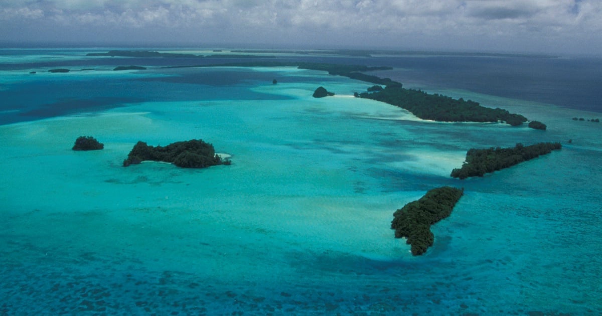 Background